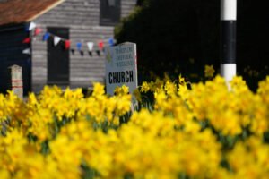 Thriplow Daffodil Weekend & Country Fair Thriplow Daffodil Weekend & Country Fair