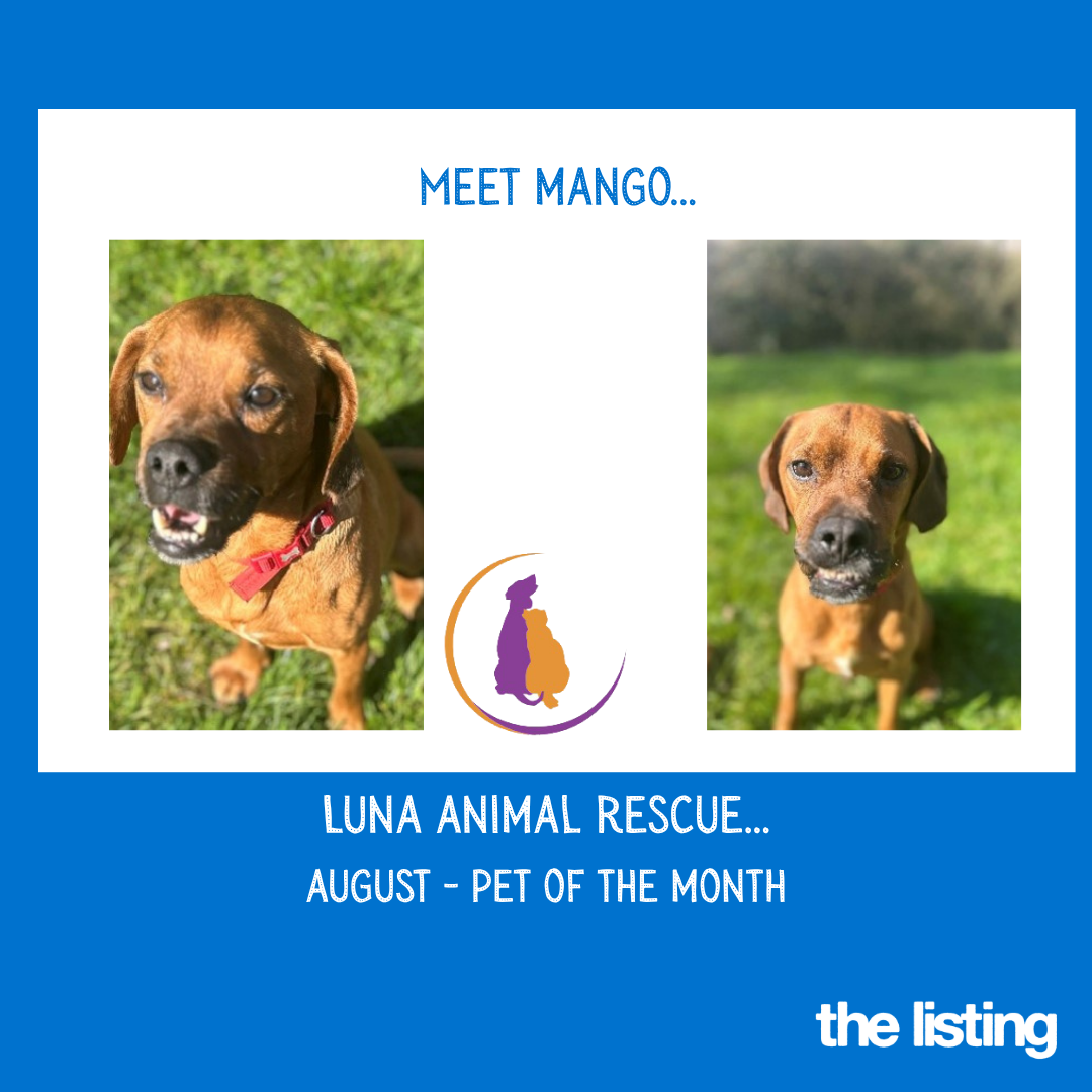 Luna August Pet of the Month… Meet Mango